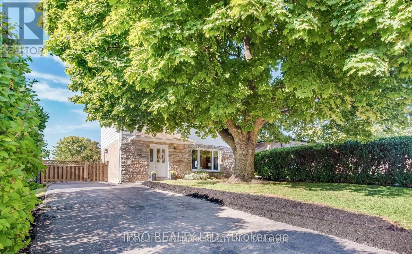 Bsmt - 755 Botany Hill Crescent, Newmarket, Ontario  L3Y 3A7 - Photo 3 - N13653360