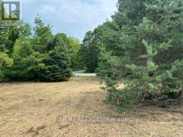 Lot 5 & 6 Rp 18 Noonan Road, Alnwick/haldimand, Ontario  K0K 3K0 - Photo 11 - X13653518
