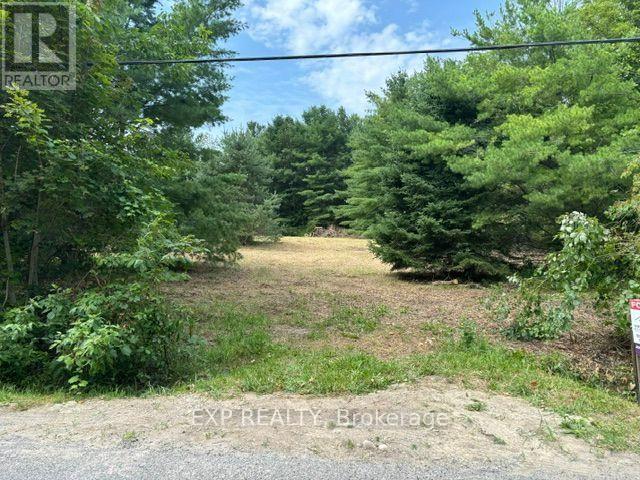 Lot 5 & 6 Rp 18 Noonan Road, Alnwick/haldimand, Ontario  K0K 3K0 - Photo 3 - X13653518