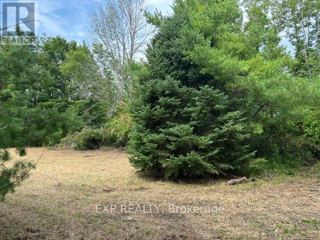 Lot 5 & 6 Rp 18 Noonan Road, Alnwick/haldimand, Ontario  K0K 3K0 - Photo 4 - X13653518