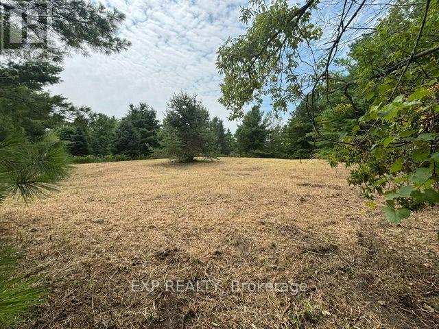 Lot 5 & 6 Rp 18 Noonan Road, Alnwick/haldimand, Ontario  K0K 3K0 - Photo 6 - X13653518