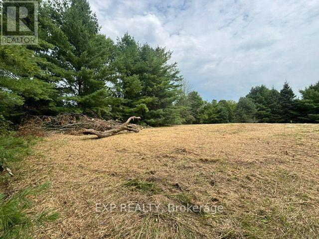 Lot 5 & 6 Rp 18 Noonan Road, Alnwick/haldimand, Ontario  K0K 3K0 - Photo 9 - X13653518