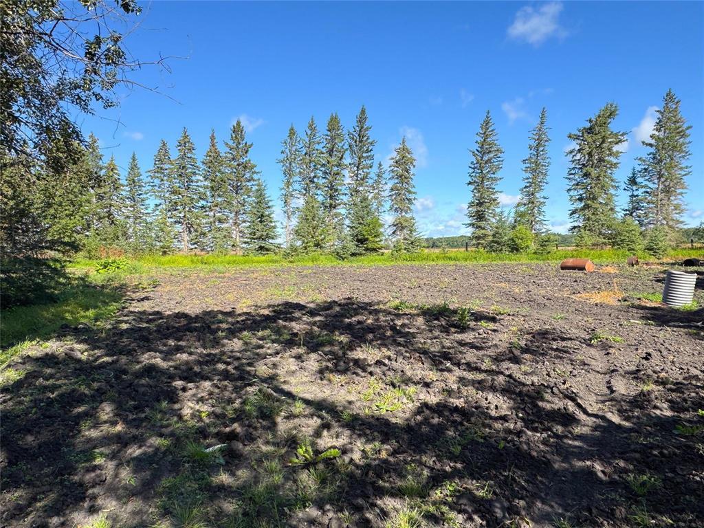 0 SE 1/4 13-36-28 Wpm Road, Swan River, Manitoba  R0L 1Z0 - Photo 10 - 202619837