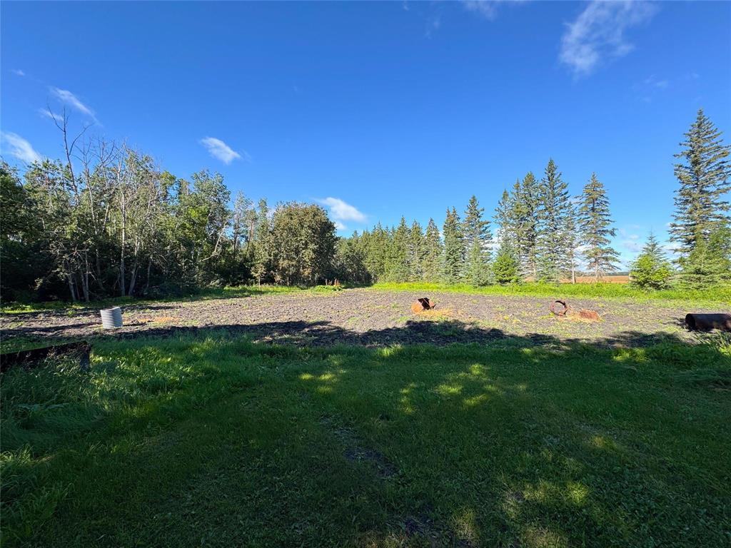0 SE 1/4 13-36-28 Wpm Road, Swan River, Manitoba  R0L 1Z0 - Photo 9 - 202619837