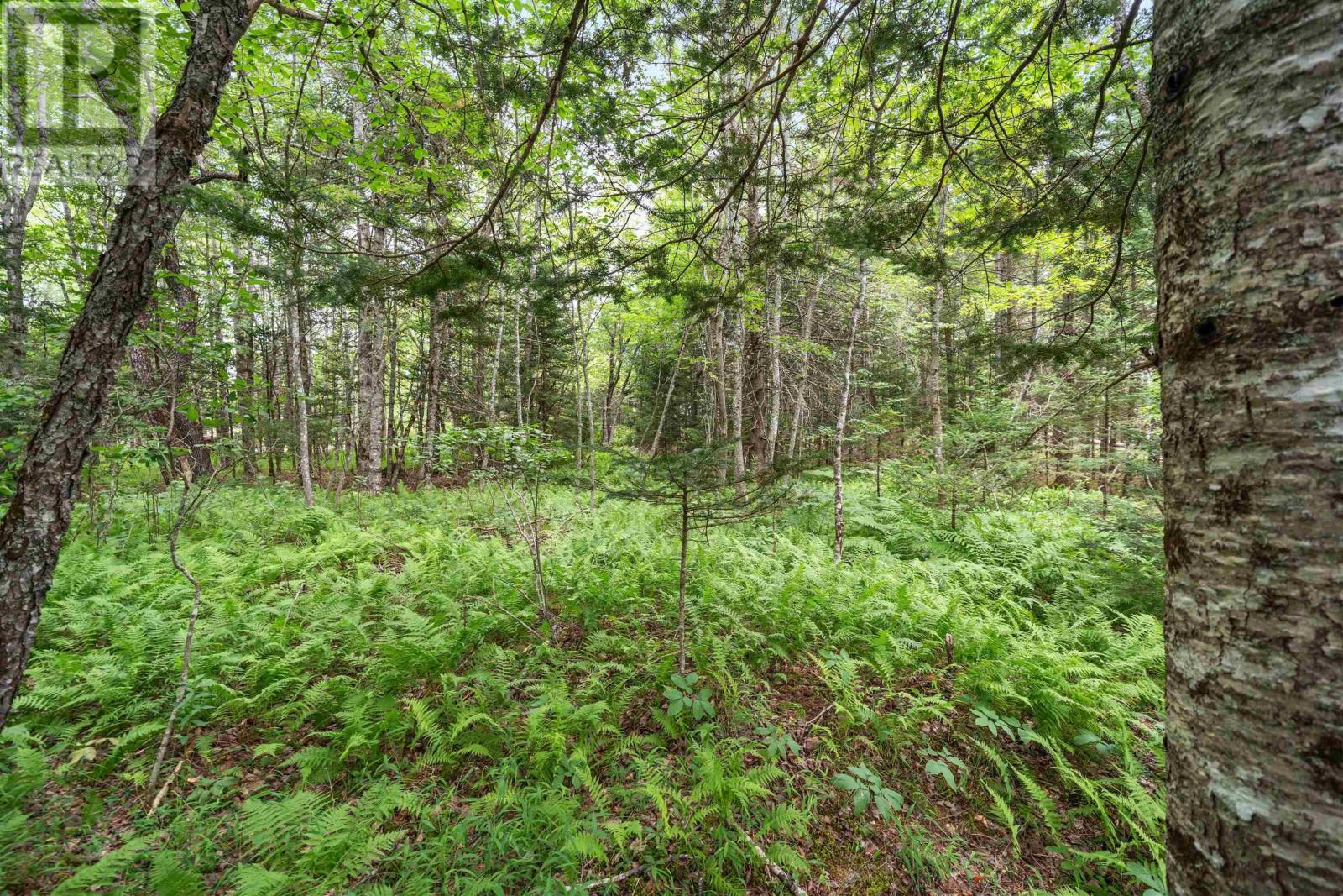 1536 Stewiacke Road, West St. Andrews, Nova Scotia  B0N 2J0 - Photo 37 - 202618909