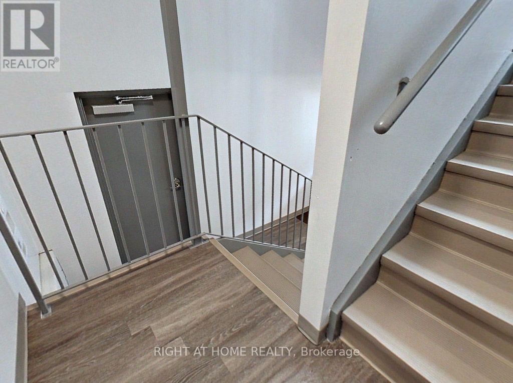 379 Erb Street W, Waterloo, Ontario N2L 1W7 - Photo 37 - X13653612