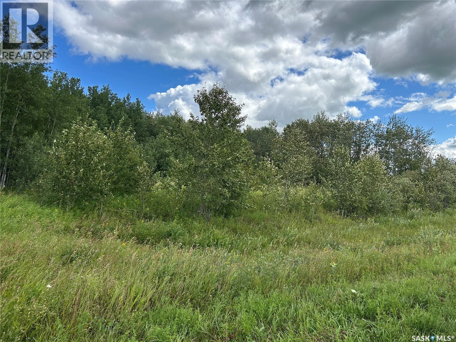 Ball Recreation Land, Clayton Rm No. 333, Saskatchewan  S0A 3X0 - Photo 2 - SK044893