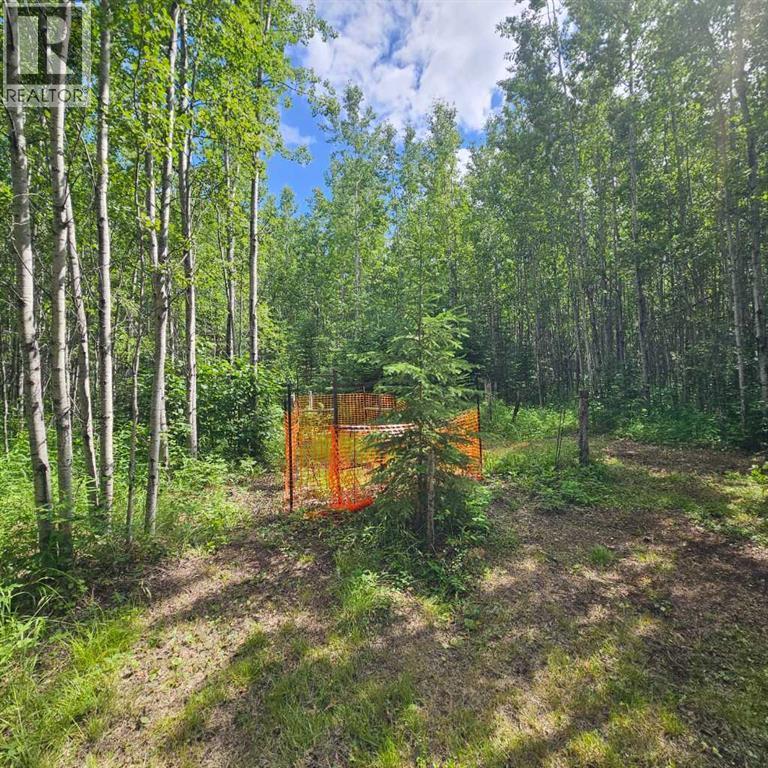 2, 56031 Range Road 153, Rural Yellowhead County, Alberta  T7E 3R6 - Photo 32 - A2311752