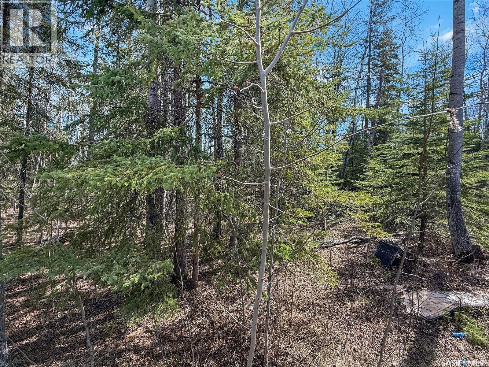 12 5th Avenue, Candle Lake, Saskatchewan  S0J 3E0 - Photo 35 - SK036799