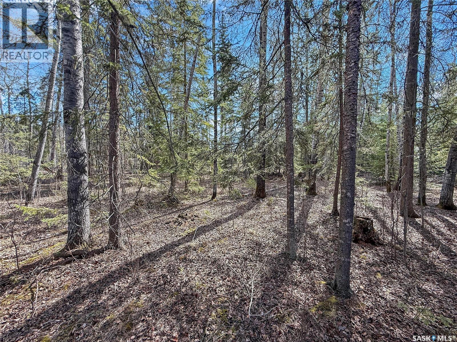 12 5th Avenue, Candle Lake, Saskatchewan  S0J 3E0 - Photo 34 - SK036799