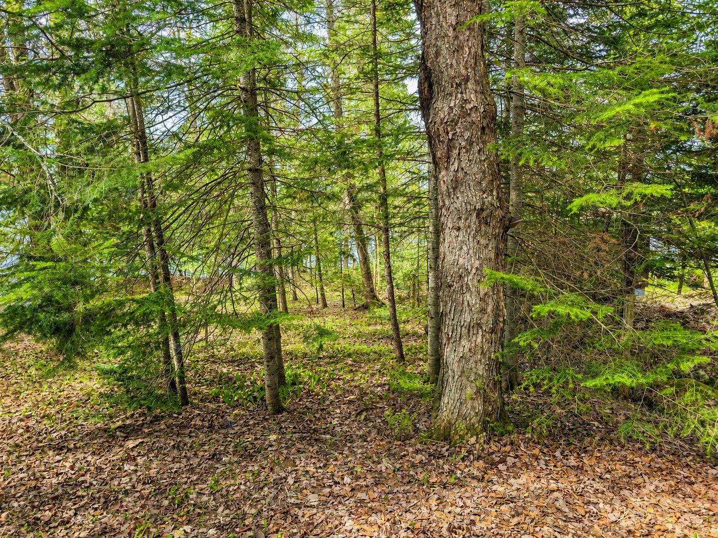 Ch. du Lac-des-Trois-Milles E. Sainte-Cécile-de-Whitton Quebec Canada G0Y1J0 2