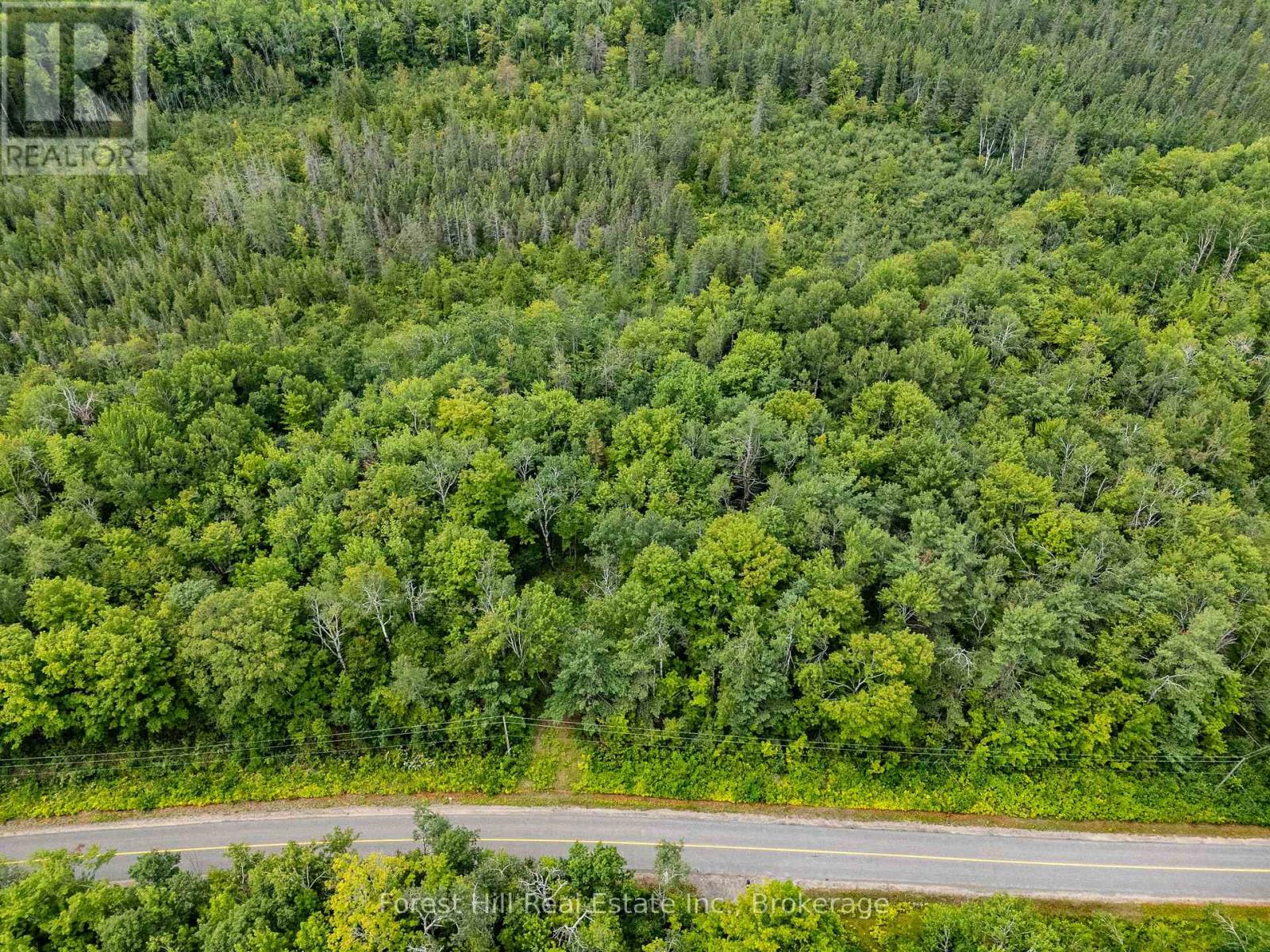 4225 Southwood Road, Muskoka Lakes, Ontario  P0C 1M0 - Photo 5 - X13626714