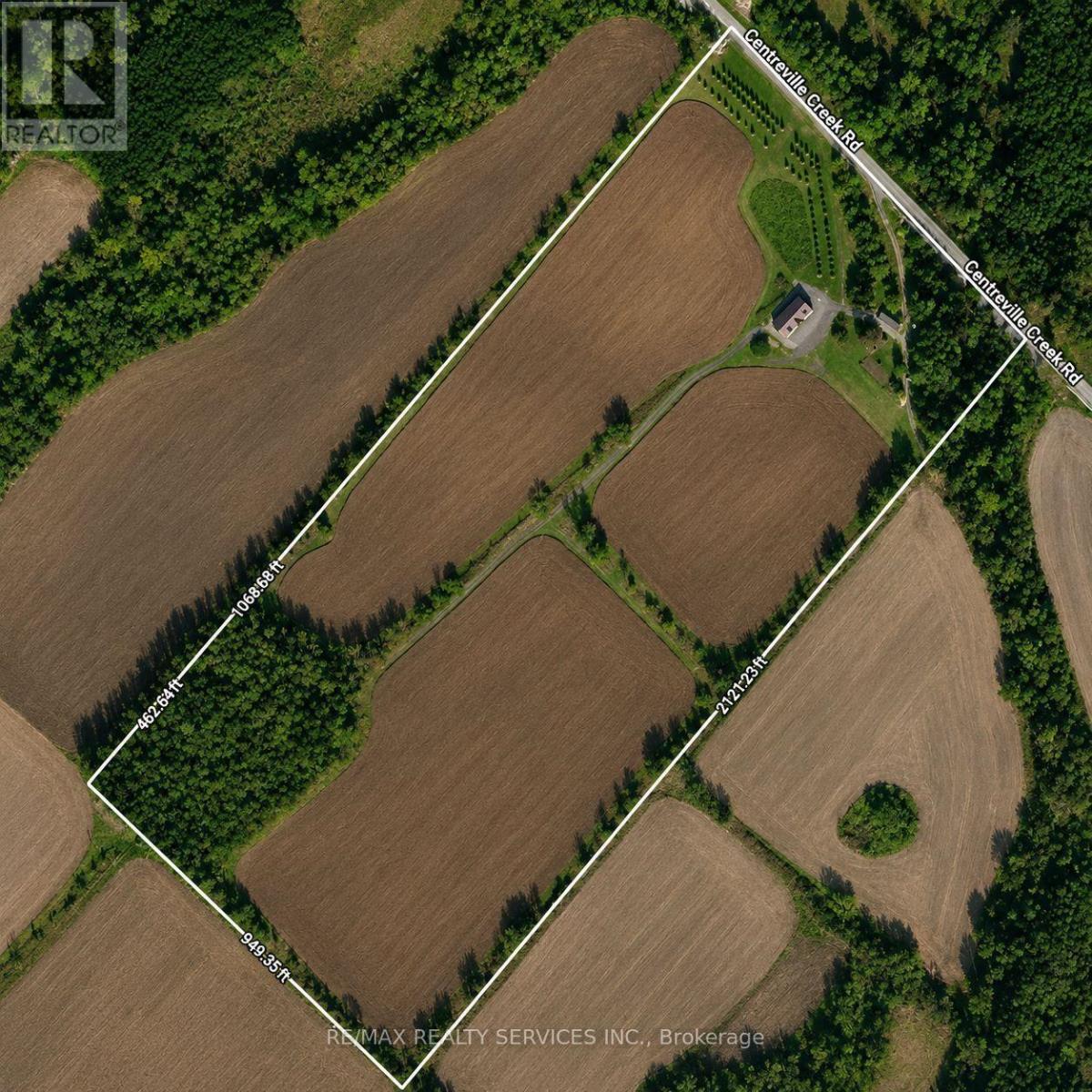 19246 Centreville Creek Road, Caledon, Ontario L7K 2N1 - Photo 3 - W13653982