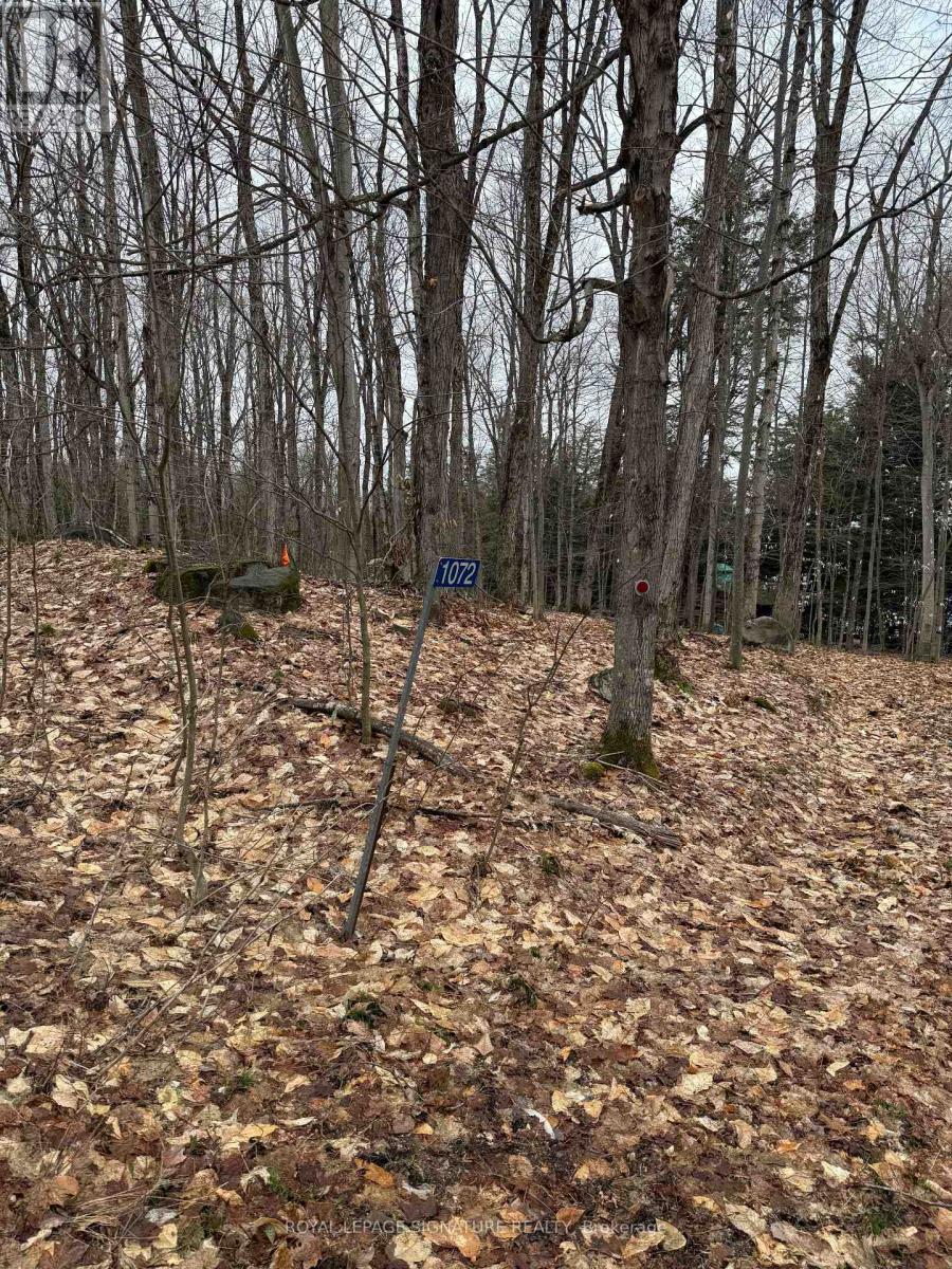 1072 Sands Road, Muskoka Lakes, Ontario  P0B 1G0 - Photo 8 - X13652074