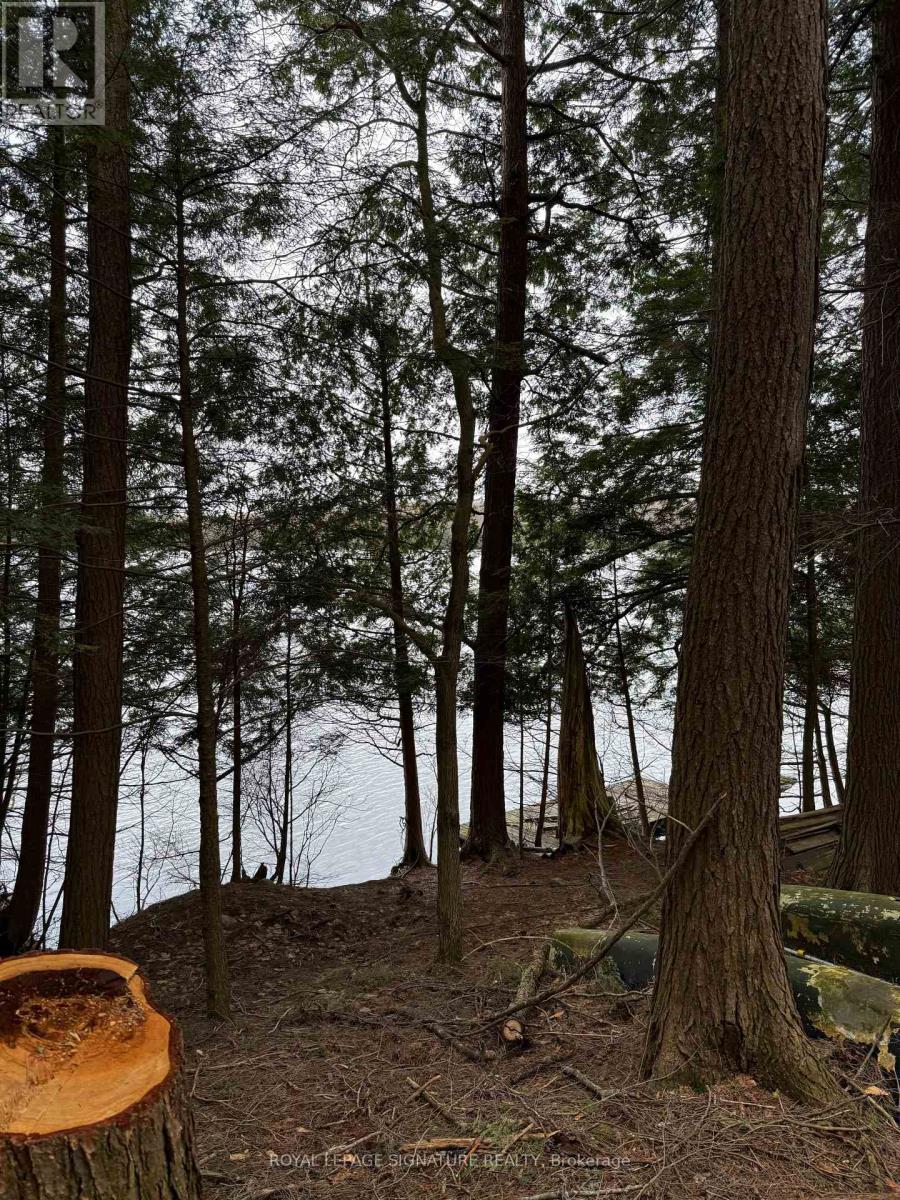 1072 Sands Road, Muskoka Lakes, Ontario  P0B 1G0 - Photo 2 - X13652074