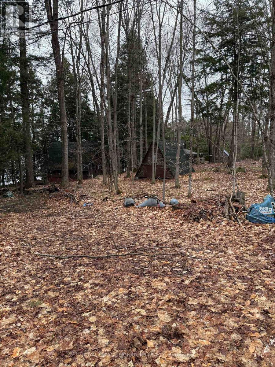 1072 Sands Road, Muskoka Lakes, Ontario  P0B 1G0 - Photo 5 - X13652074