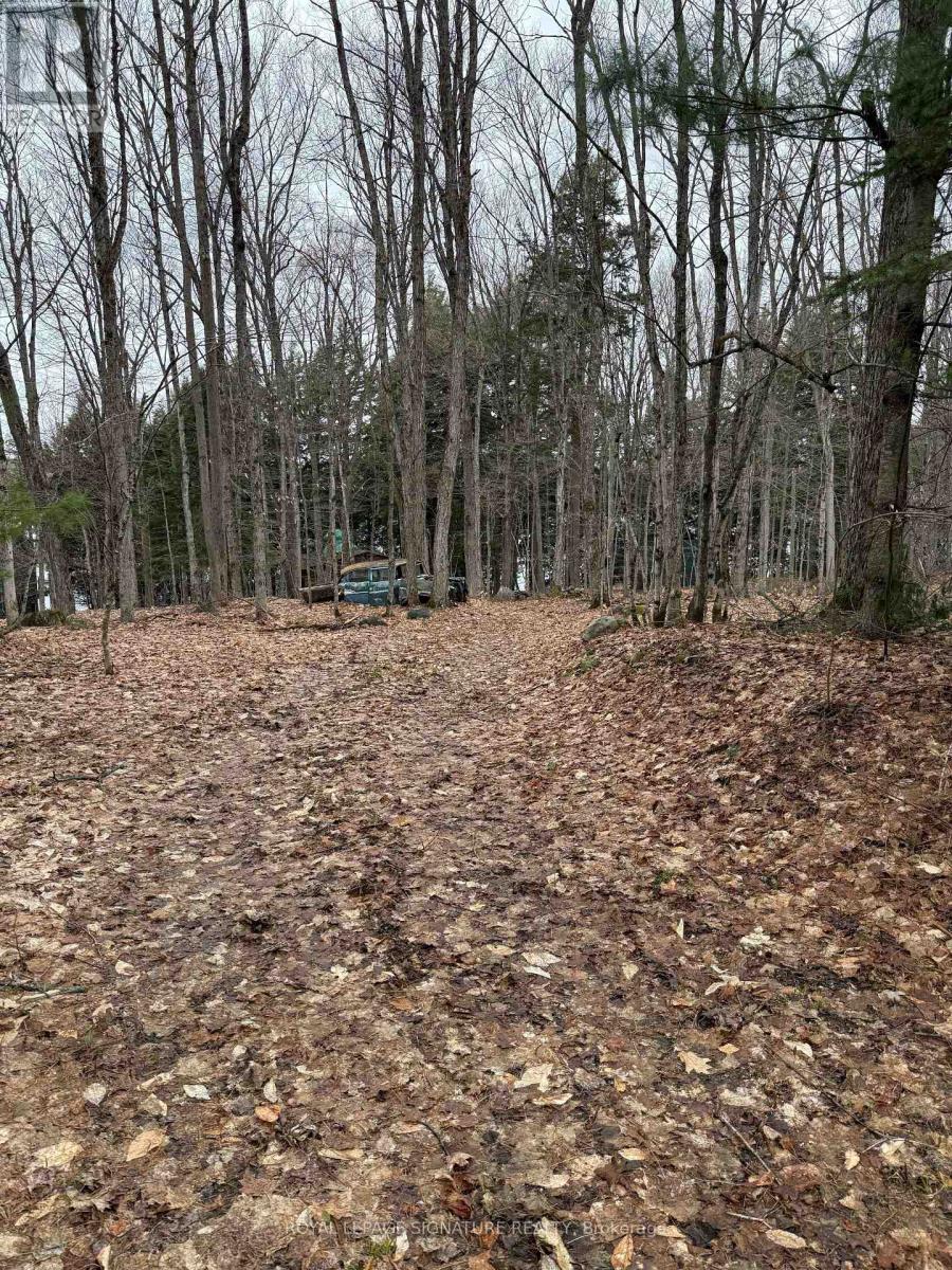 1072 Sands Road, Muskoka Lakes, Ontario  P0B 1G0 - Photo 7 - X13652074