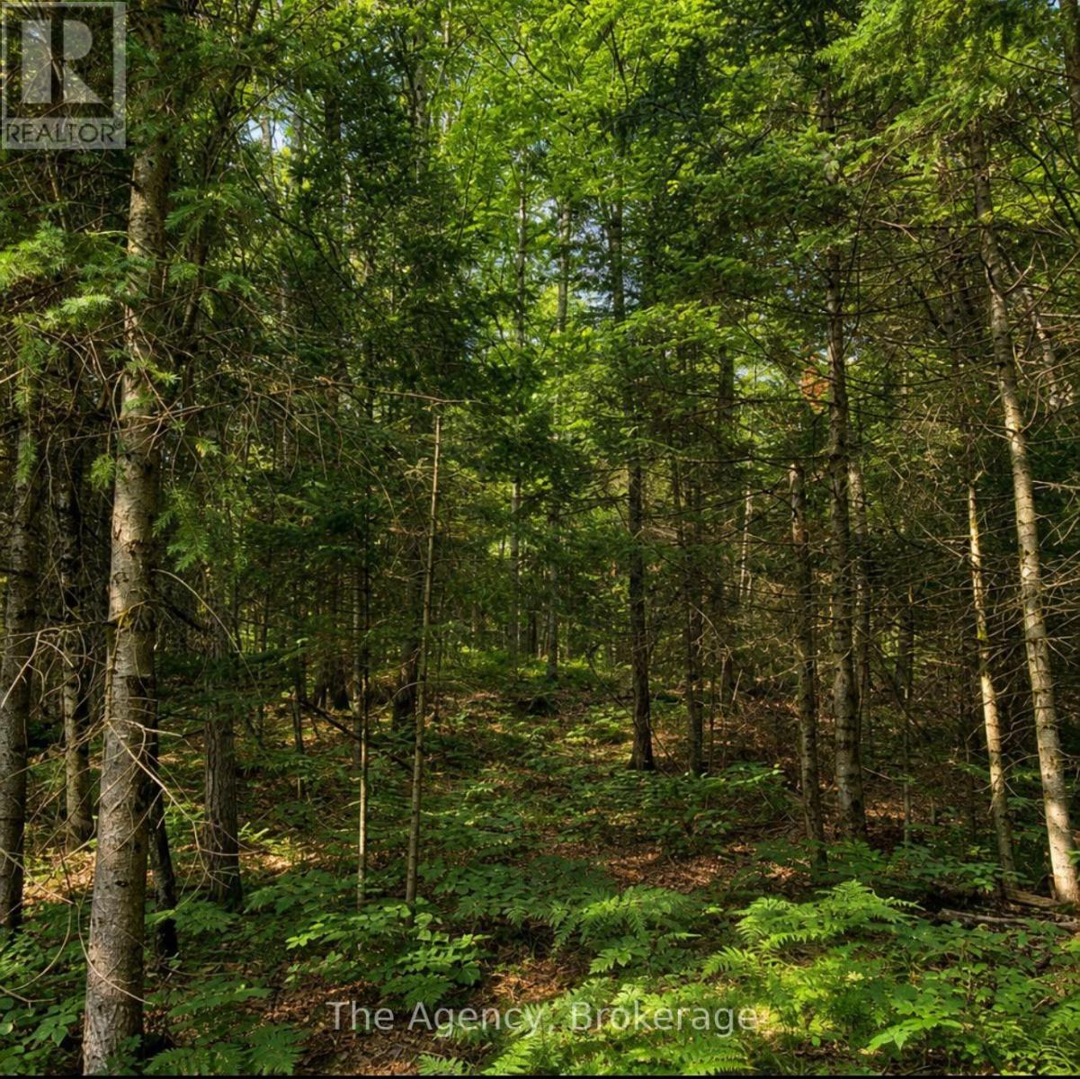 1094 Springdale Park Road N, Bracebridge, Ontario  P1L 1W9 - Photo 36 - X13654184