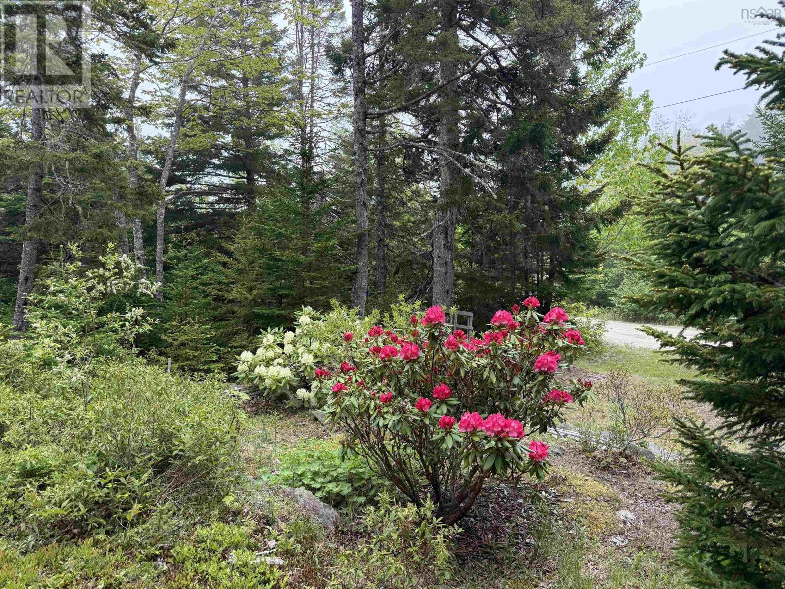 36 Saddle Island Road, Bayswater, Nova Scotia  B0J 1T0 - Photo 10 - 202614348