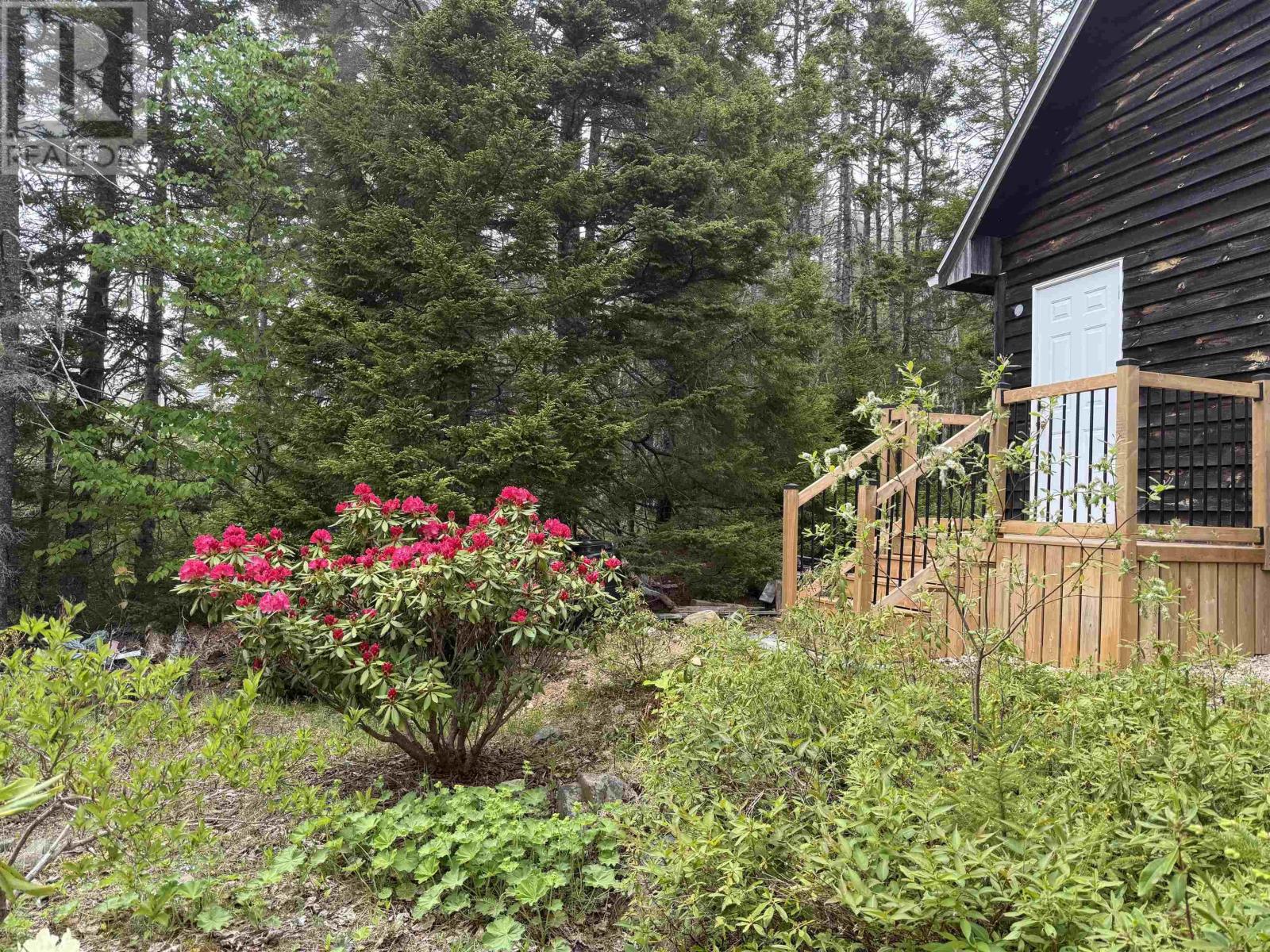 36 Saddle Island Road, Bayswater, Nova Scotia  B0J 1T0 - Photo 24 - 202614348