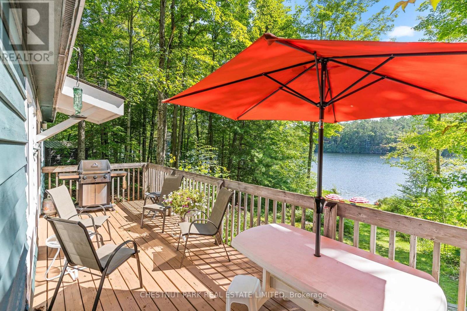 1184 Little Bob Lake Road, Minden Hills, Ontario  K0M 2S0 - Photo 23 - X13654274