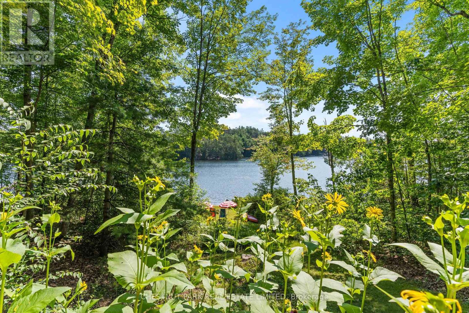 1184 Little Bob Lake Road, Minden Hills, Ontario  K0M 2S0 - Photo 26 - X13654274