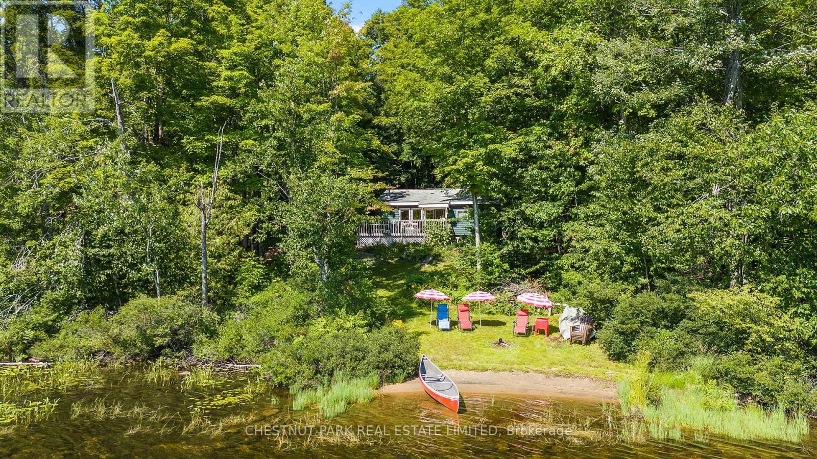 1184 Little Bob Lake Road, Minden Hills, Ontario  K0M 2S0 - Photo 33 - X13654274