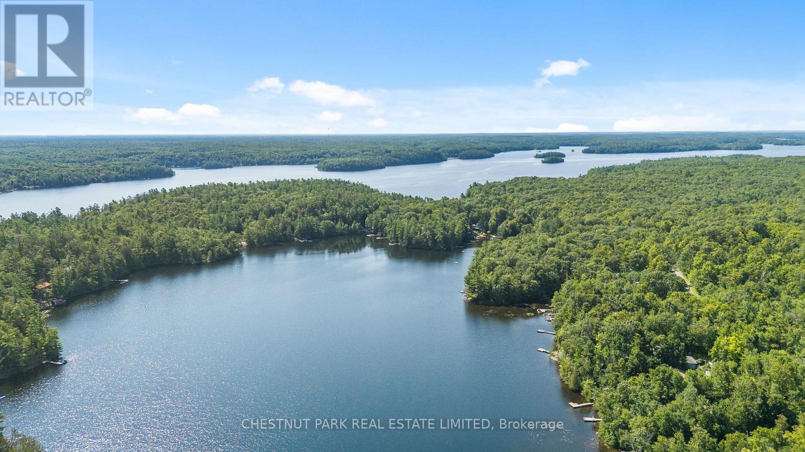1184 Little Bob Lake Road, Minden Hills, Ontario  K0M 2S0 - Photo 36 - X13654274