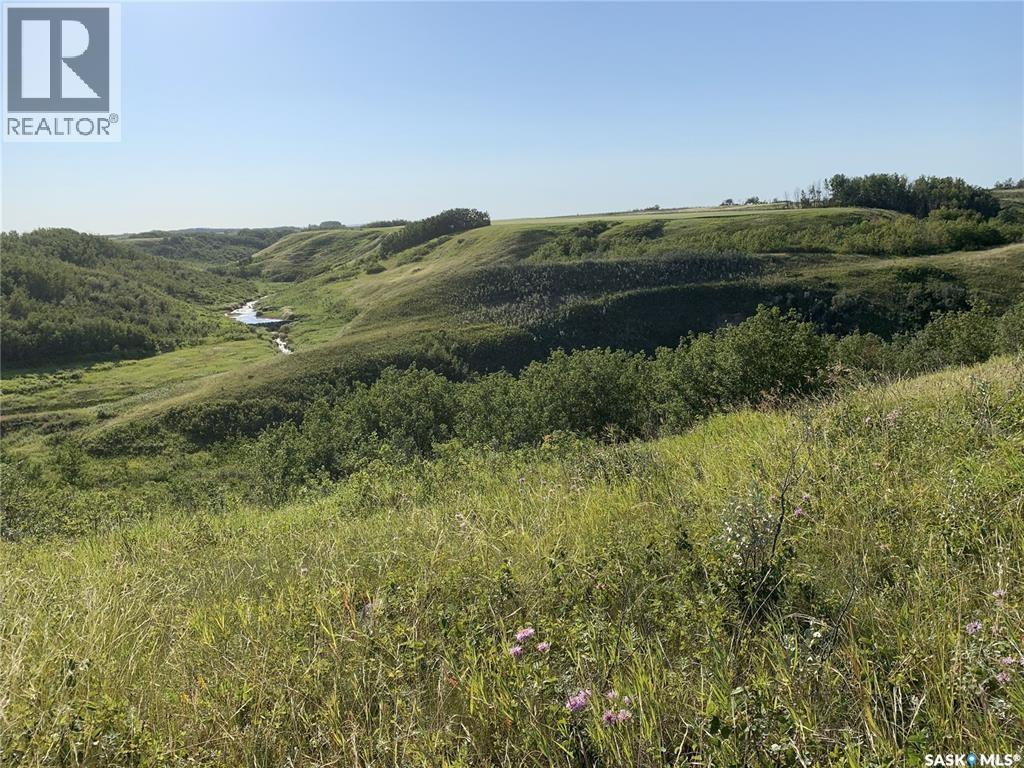 Dolezal Land, Blaine Lake Rm No. 434, Saskatchewan  S0J 0J0 - Photo 2 - SK044939