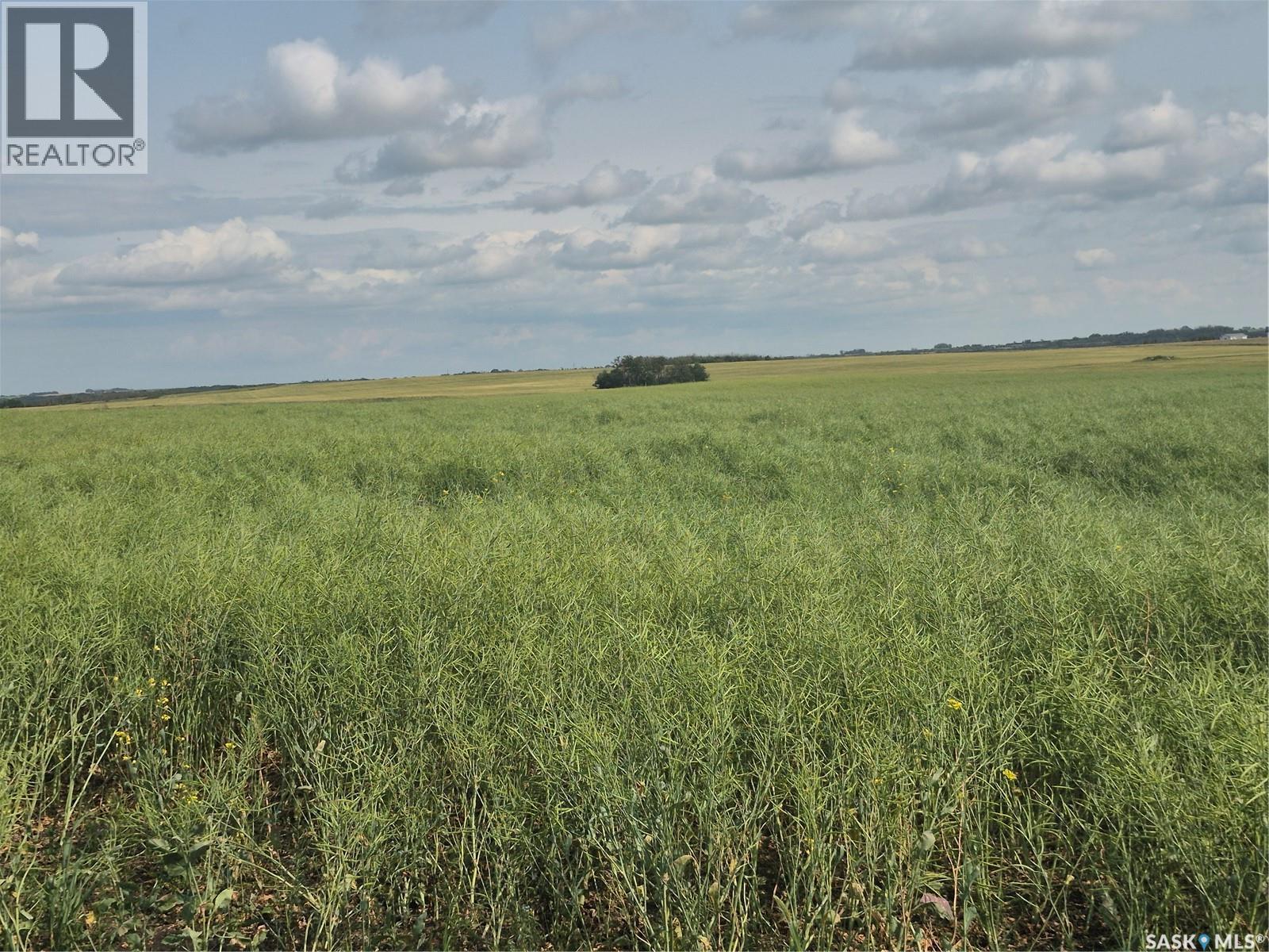 Dolezal Land, Blaine Lake Rm No. 434, Saskatchewan  S0J 0J0 - Photo 3 - SK044939