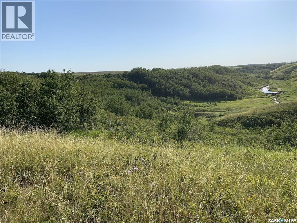 Dolezal Land, Blaine Lake Rm No. 434, Saskatchewan  S0J 0J0 - Photo 4 - SK044939