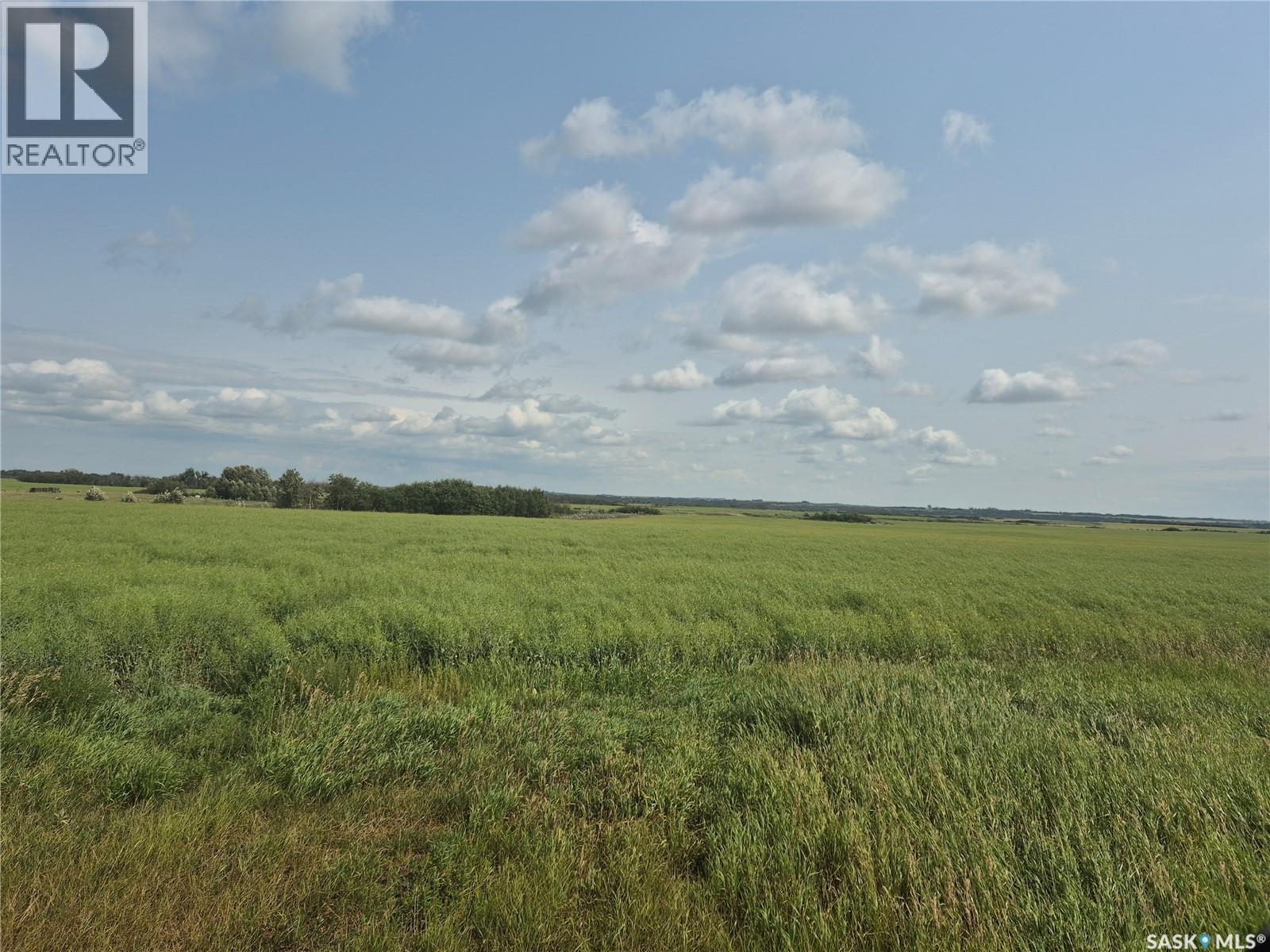Dolezal Land, Blaine Lake Rm No. 434, Saskatchewan  S0J 0J0 - Photo 5 - SK044939