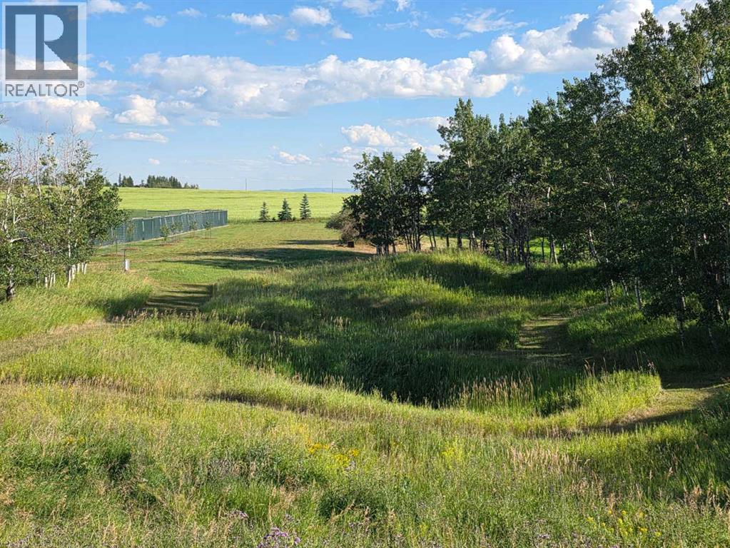Hwy 783 Rural Foothills County, Rural Foothills County, Alberta  T1S 1A1 - Photo 20 - A2335886