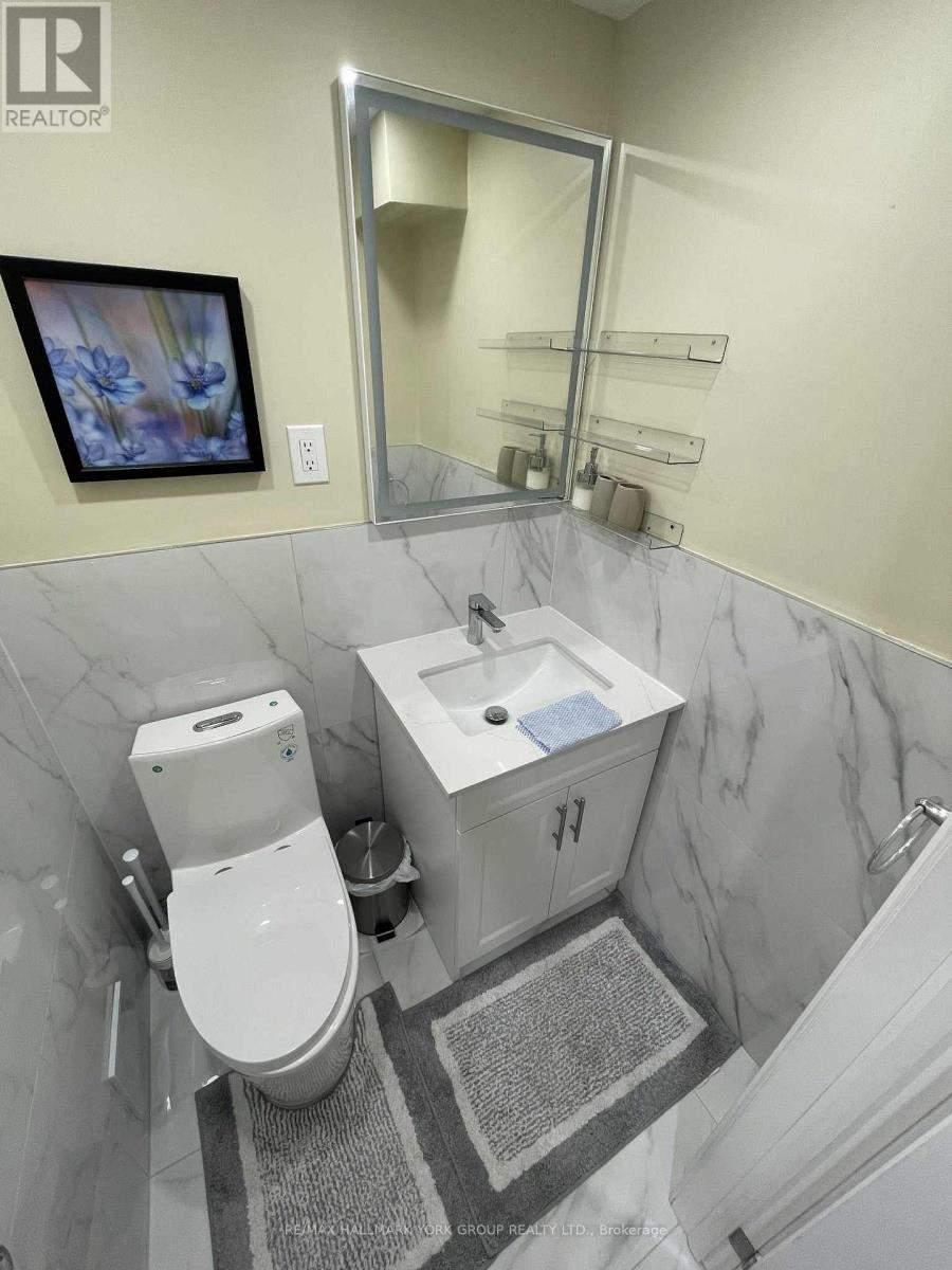 Basement - 33 Deerwood Crescent, Richmond Hill, Ontario  L4E 3V4 - Photo 11 - N13654294