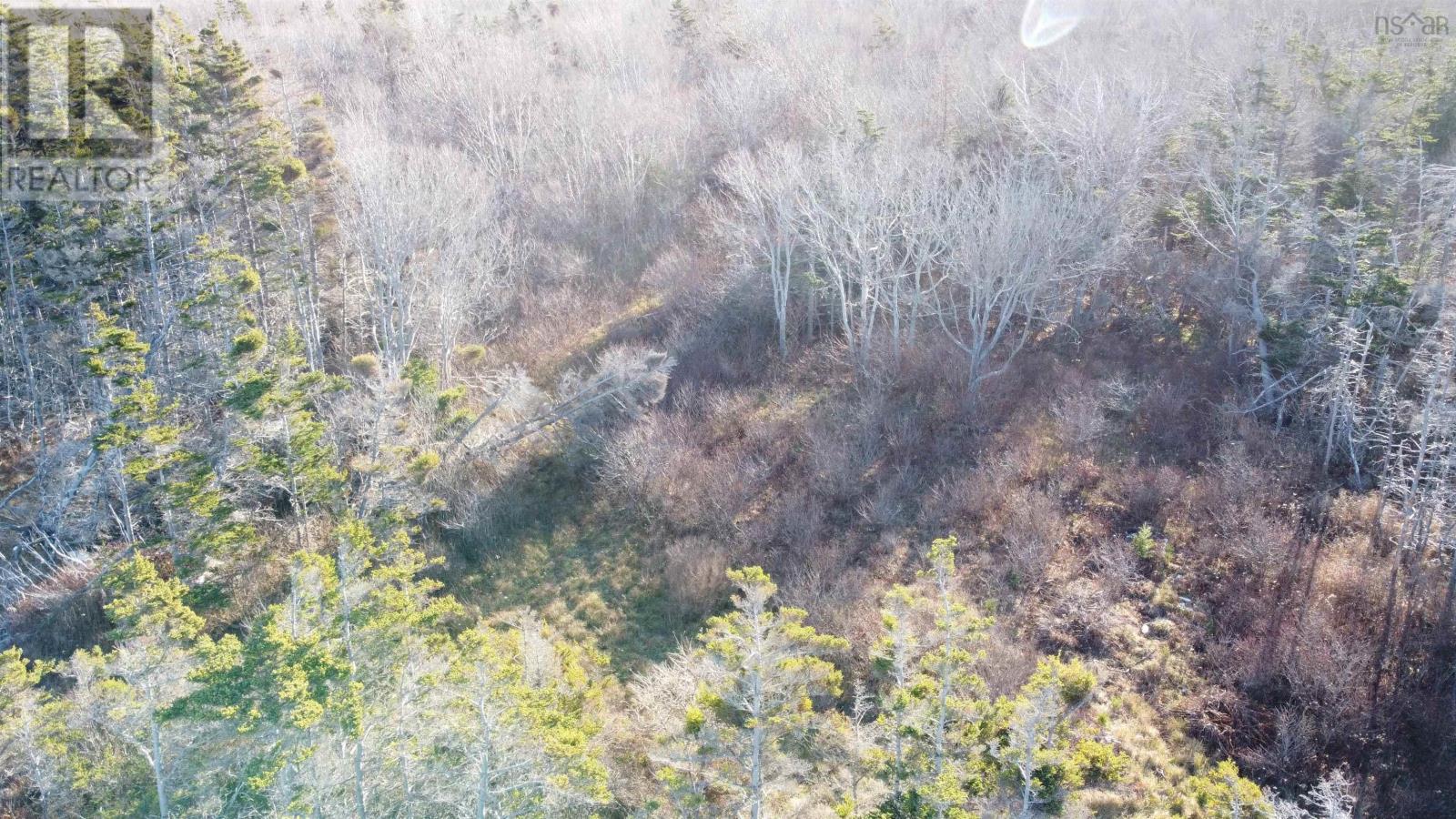 Lot Shore Road W, Delaps Cove, Nova Scotia  B0P 1E0 - Photo 9 - 202614423