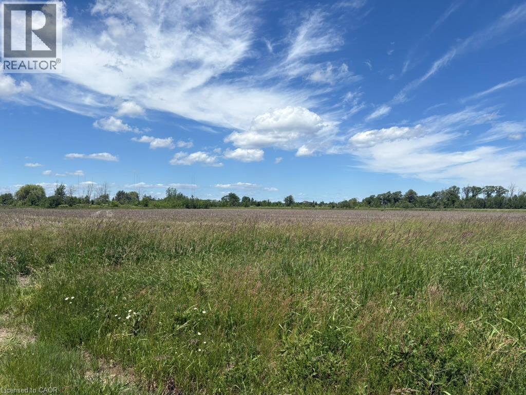 551 Mud Street, Grimsby, Ontario  L3M 0K3 - Photo 33 - 40847786