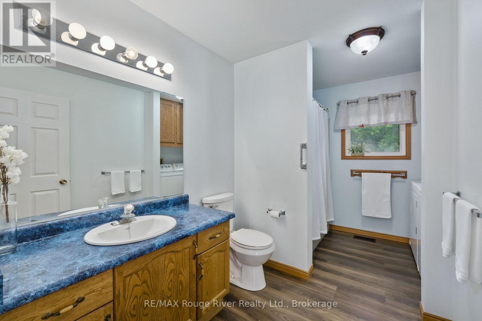 559 County Road 47 Road N, Havelock-Belmont-Methuen, Ontario  K0L 1Z0 - Photo 24 - X13461888