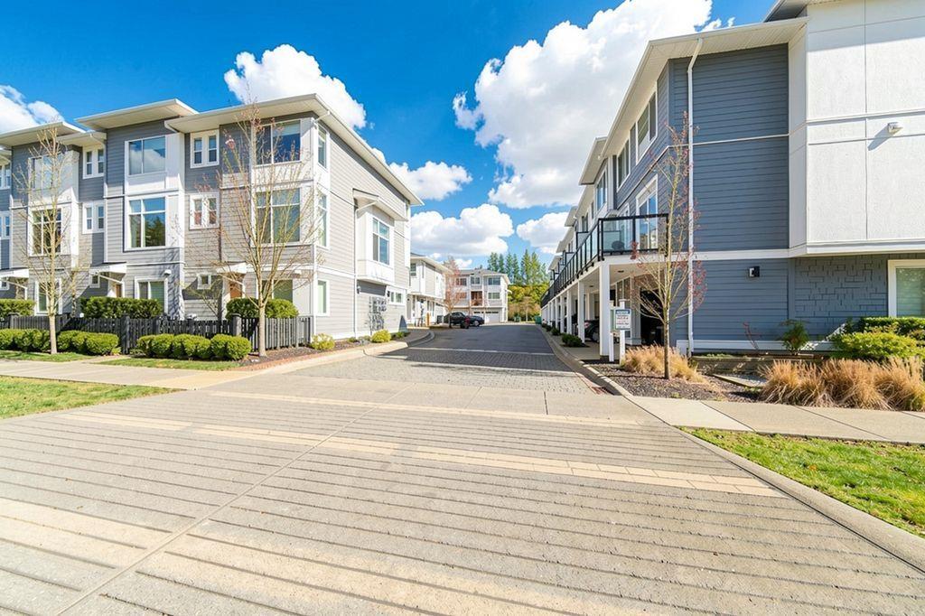 14 2328 167a Street, Surrey, British Columbia  V3Z 1H2 - Photo 18 - R3153897
