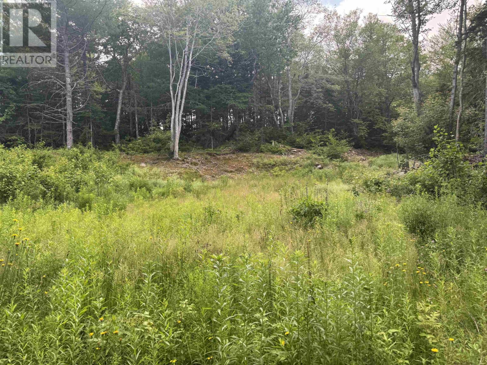 Lot 5 Cabot Trail, Ingonish, Nova Scotia  B0C 1K0 - Photo 16 - 202618373