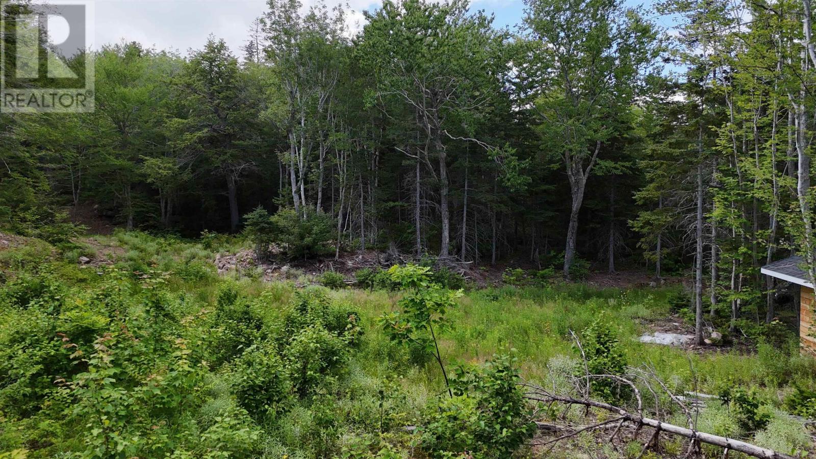 Lot 5 Cabot Trail, Ingonish, Nova Scotia  B0C 1K0 - Photo 8 - 202618373