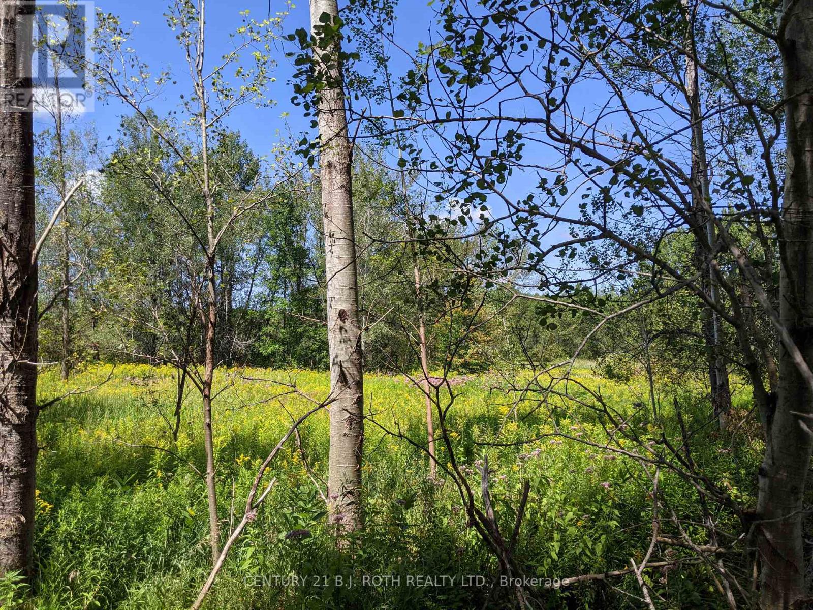 2361 George Johnston Road, Springwater, Ontario  L0L 1Y0 - Photo 15 - S13654528