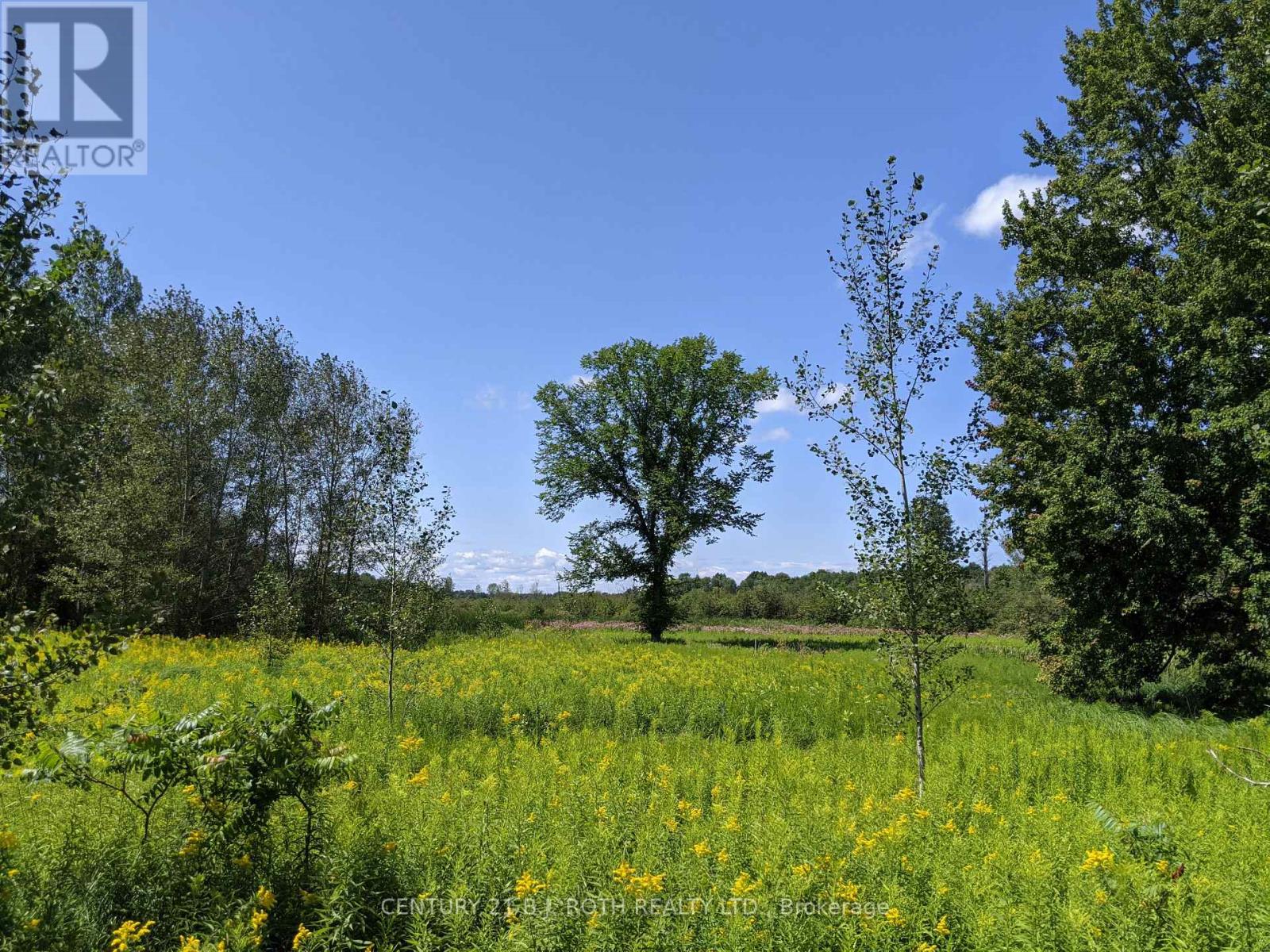 2361 George Johnston Road, Springwater, Ontario  L0L 1Y0 - Photo 16 - S13654528
