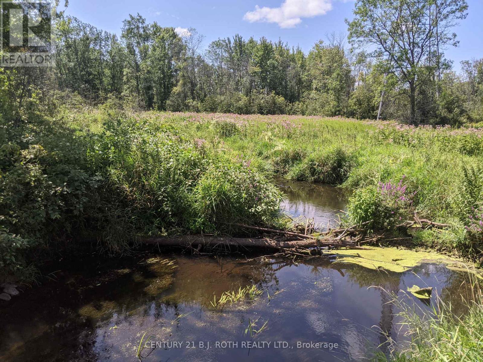 2361 George Johnston Road, Springwater, Ontario  L0L 1Y0 - Photo 20 - S13654528