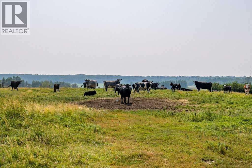 261126 Range Road 33, Rural Rocky View County, Alberta  T4C 0G6 - Photo 36 - A2334195