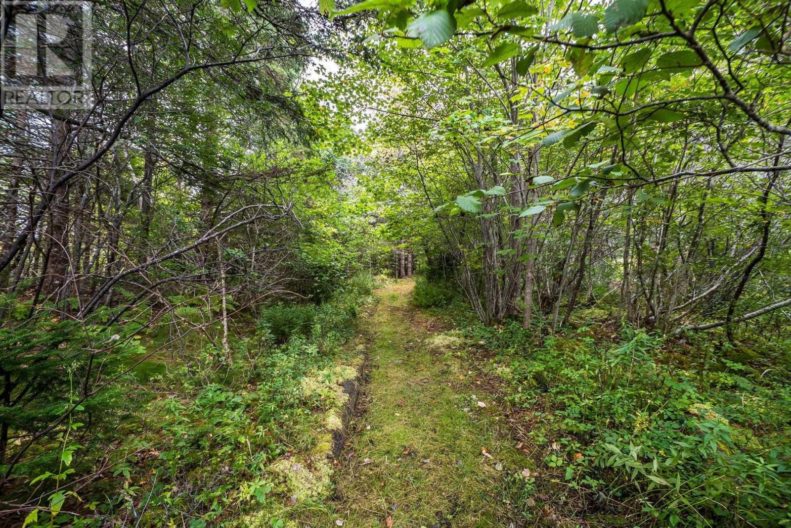 70 Hurricane Lane, Eastern Passage, Nova Scotia  B3G 1S3 - Photo 37 - 202619618