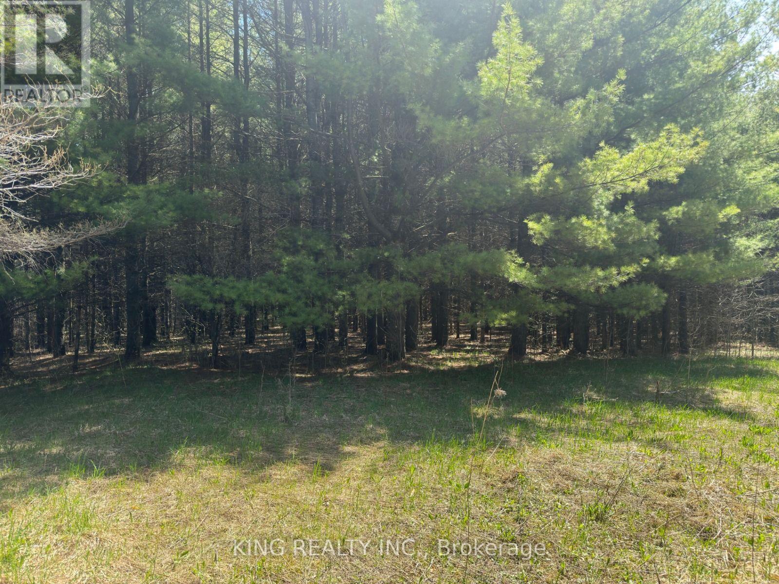 6081 HWY 89, CLIFFORD ROAD, Minto, Ontario