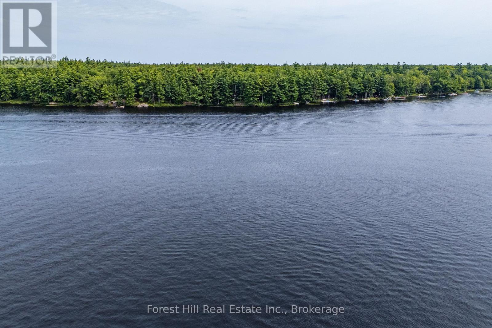 1048 West Black Lake Road, Muskoka Lakes, Ontario  P0C 1M0 - Photo 4 - X13654668