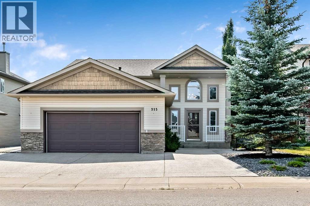 315 Willow Ridge Way, Diamond Valley, Alberta  T0L 0H0 - Photo 2 - A2335178