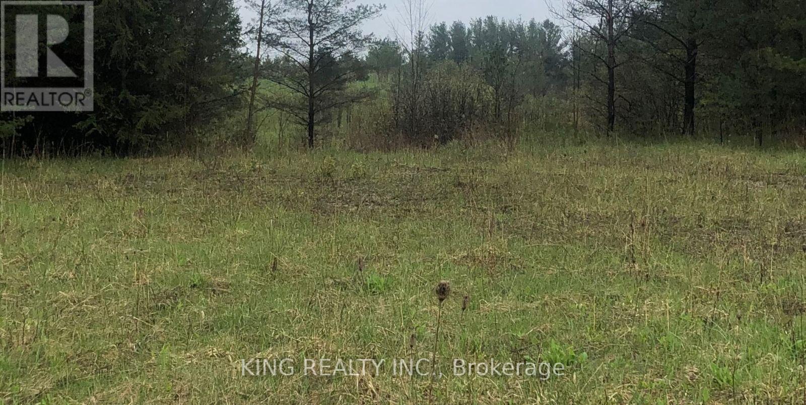 6081 Hwy 89, Clifford Road, Minto, Ontario  N0G 1M0 - Photo 6 - X13654626