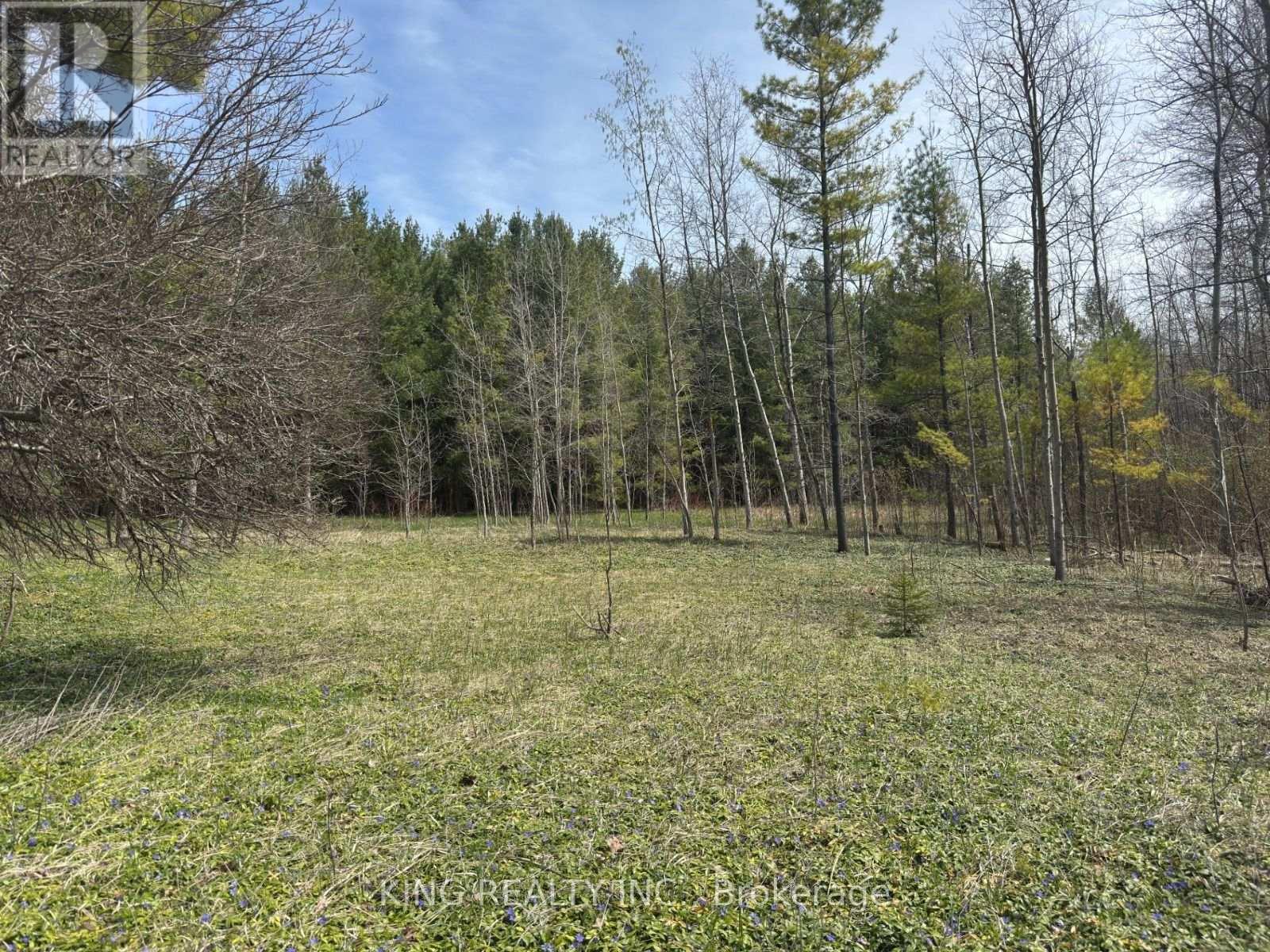 6081 Hwy 89, Clifford Road, Minto, Ontario  N0G 1M0 - Photo 3 - X13654626